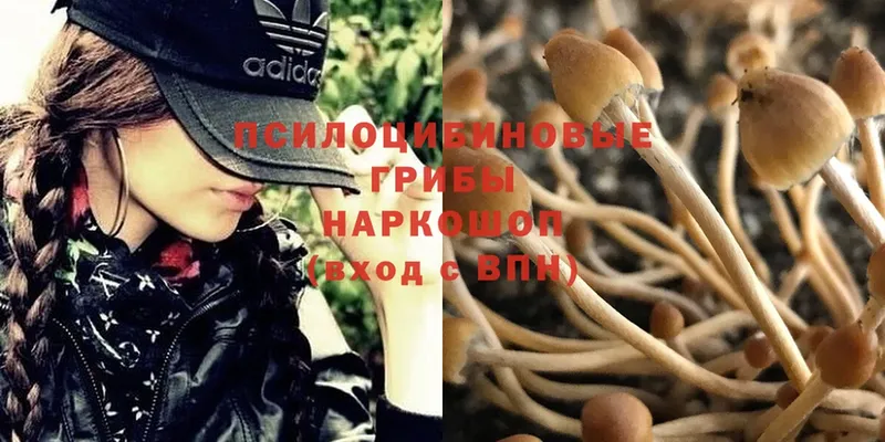 Галлюциногенные грибы Magic Shrooms  наркотики  МЕГА вход  Беслан 